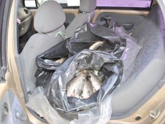Braconieri piscicoli, prinşi de Garda de Coastă